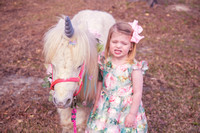 Unicorn6